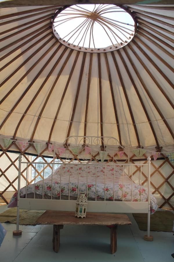 Mill Haven Place Glamping Yurt 3 Haverfordwest Luaran gambar